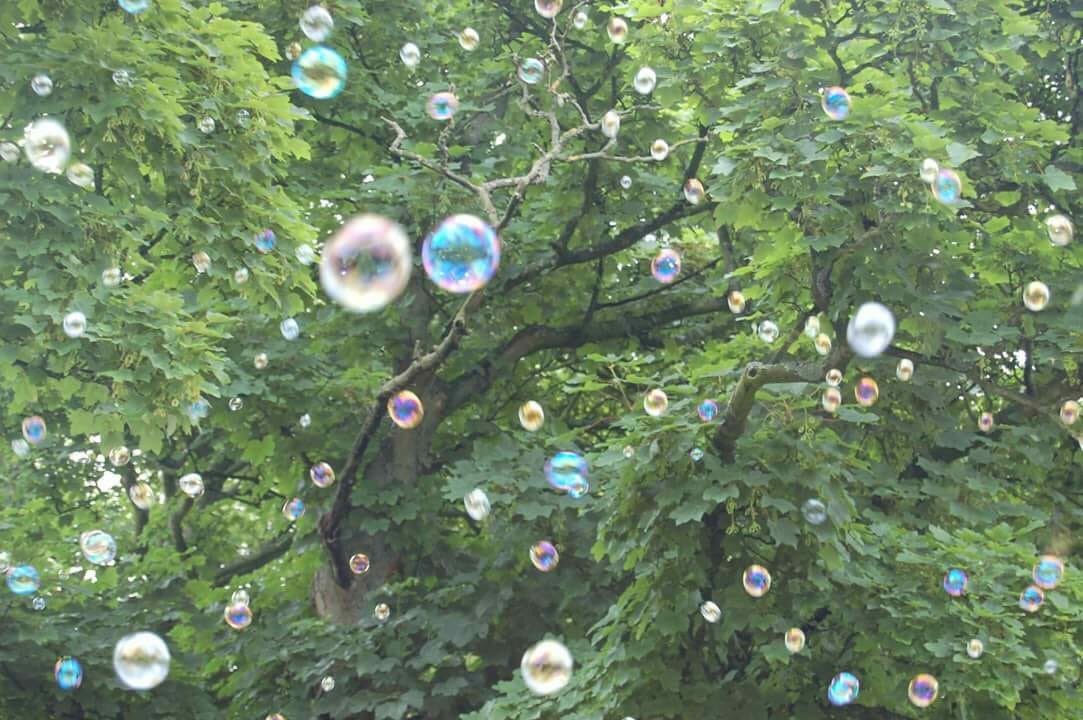 TimperleyNews tweet media