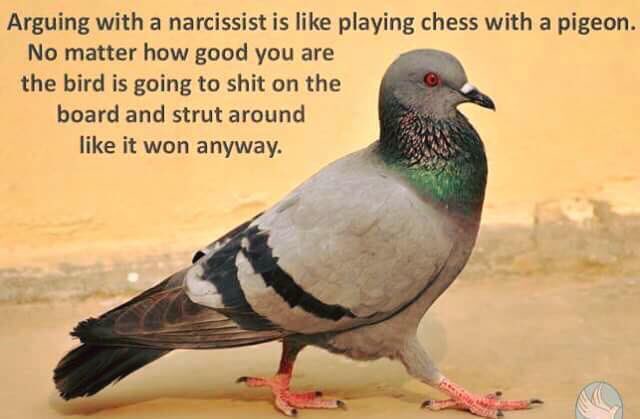 clairelbowser's tweet photo. Probably the best #meme I've ever #seen #truestory #playwithfiregetburnt #hatepigeons #twats https://t.co/iUKz6ue4Id