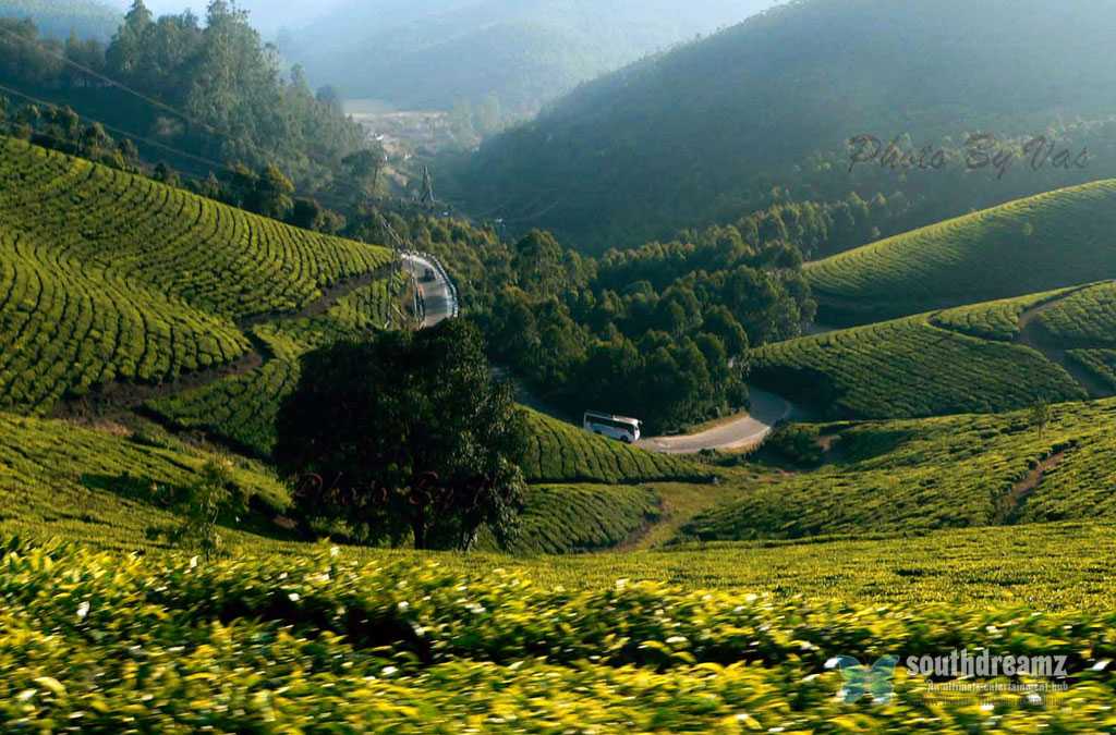 0xnuoya's tweet photo. Devikulam Hill Top dari Munnar
#goazam #travel #bepergian #perjalanan https://t.co/tE73U4V4Oe