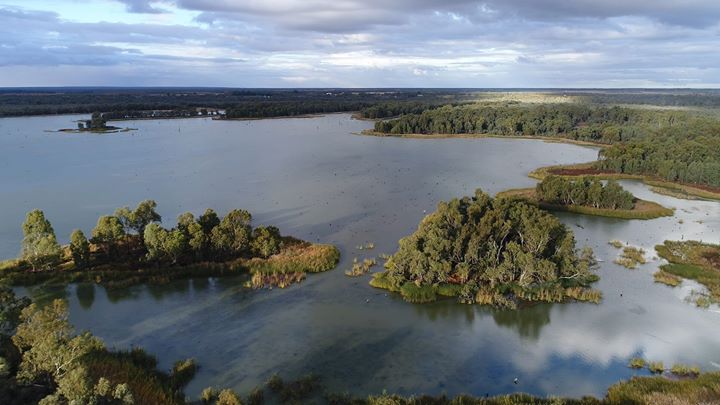 wombatknackers's tweet photo. Kings billabong today from above. #Mildura #dronephotography @VisitMildura @YourMildura https://t.co/QWpFb6II1A