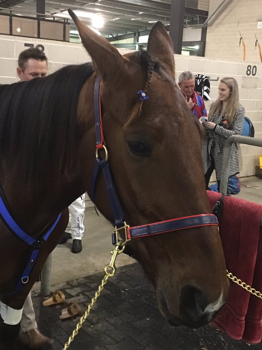 CustodianNZ's tweet photo. GARRARDS HORSE AND HOUND NSW TROTTERS DERBY (GROUP 1) https://t.co/UiCdjsb0Ht https://t.co/cSjklXcyHh