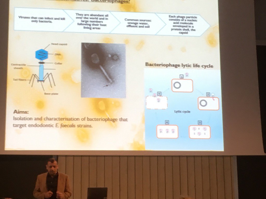 GrahamPStafford's tweet photo. Mohammed al-zubidi at #eomw Stockholm @OMIG_BSODR_UK https://t.co/Xvji44off7
