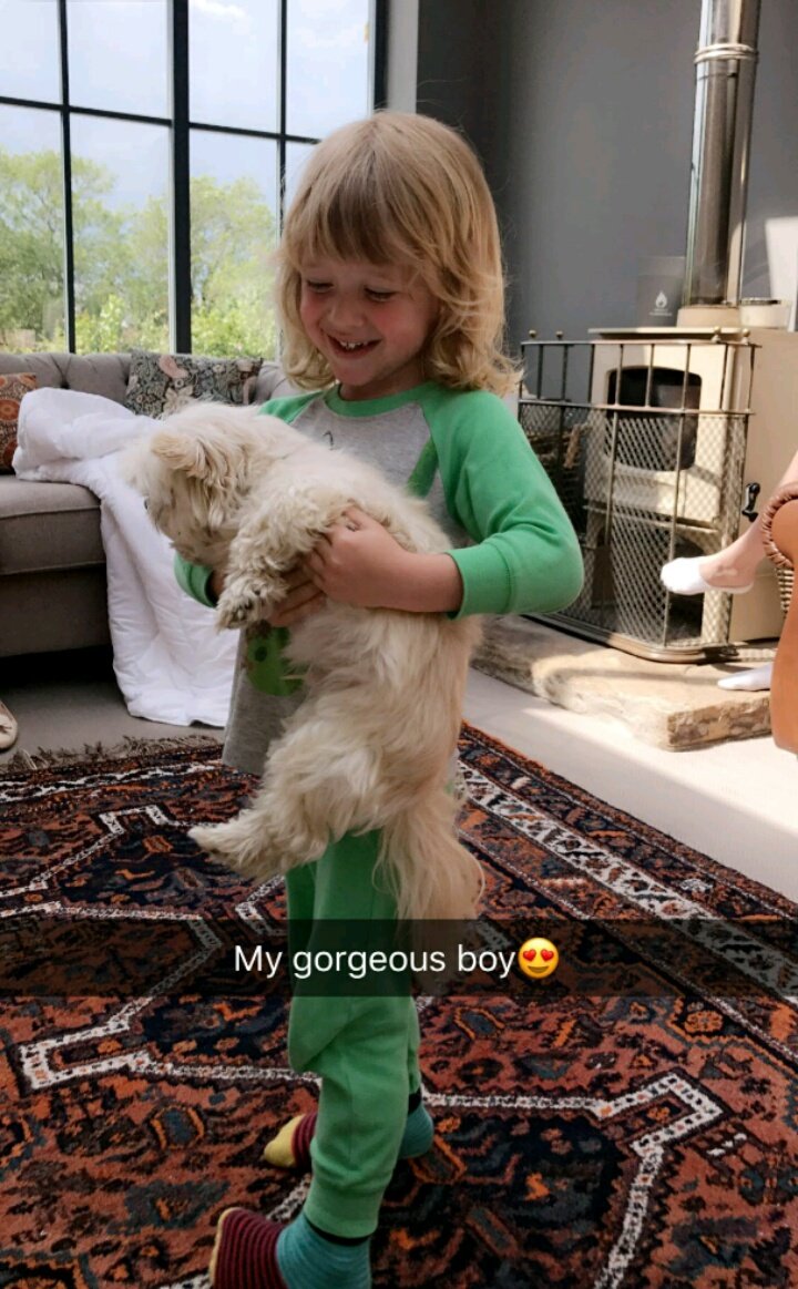 DeakinsNotes's tweet photo. Ernest cuddling with Collin yesterday 🐶💚👶 #DeakinsNotes 

@ptomlinsondeaks and @fizfizfiz 's snapchat https://t.co/n2slc8vBbx