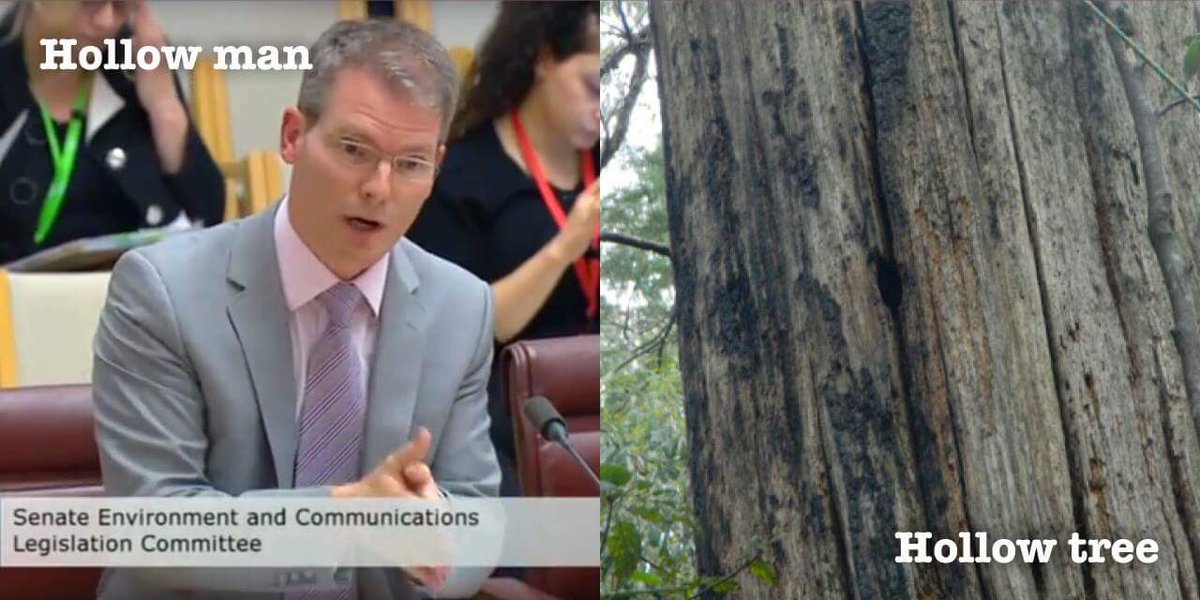 My_Environment's tweet photo. #Extinction takes place quietly, often by very softly spoken government personnel #hollowmen #RFA @JoshFrydenberg https://t.co/O2bLrSxcLj https://t.co/QemhrascJ3