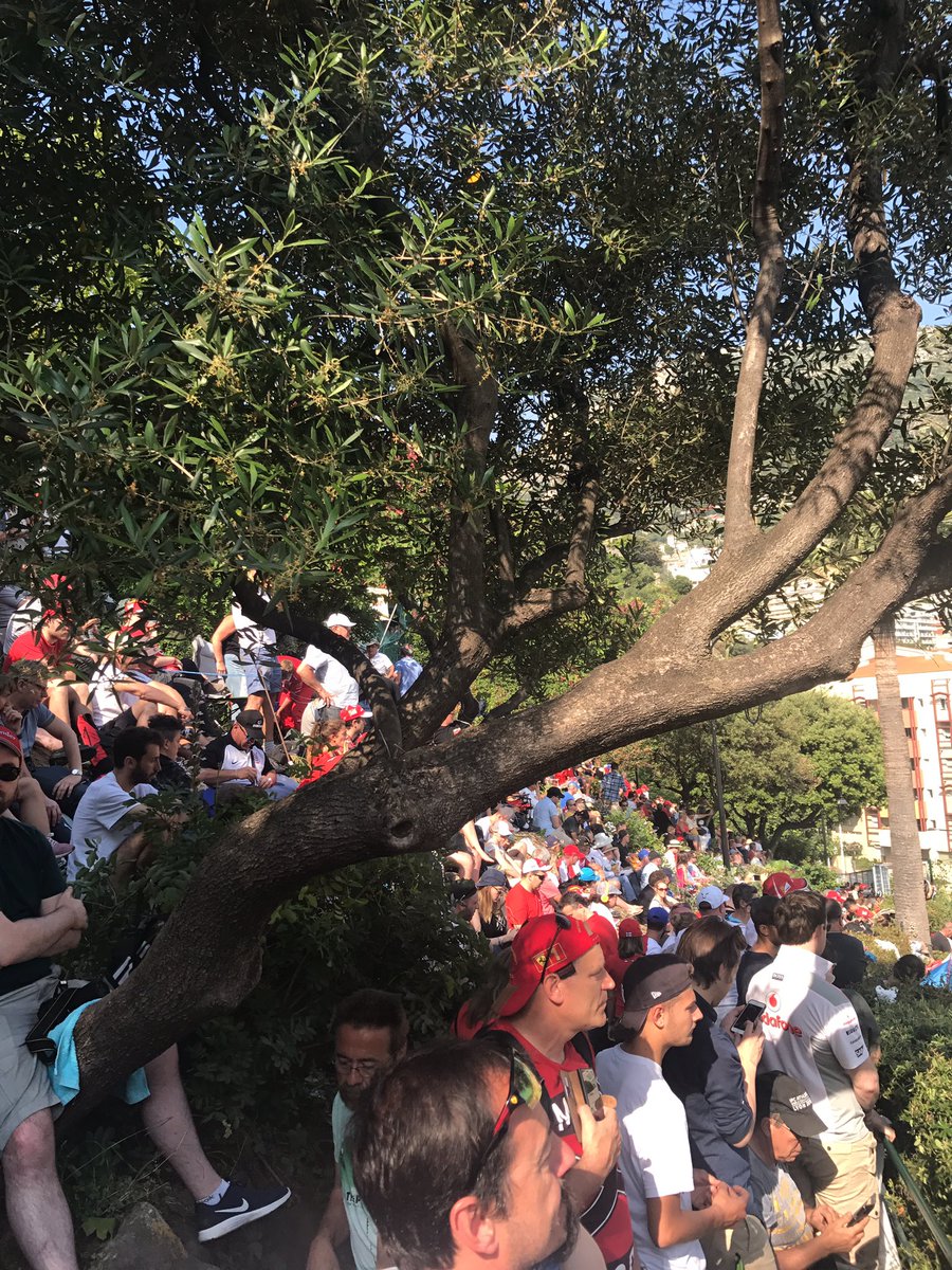 All set for the Monaco GP, only 4.5 hours to wait before it actually starts! Massive thanks to my wife <a href="/ShelliSimkin/">Shelli Simkin</a> for making it happen!