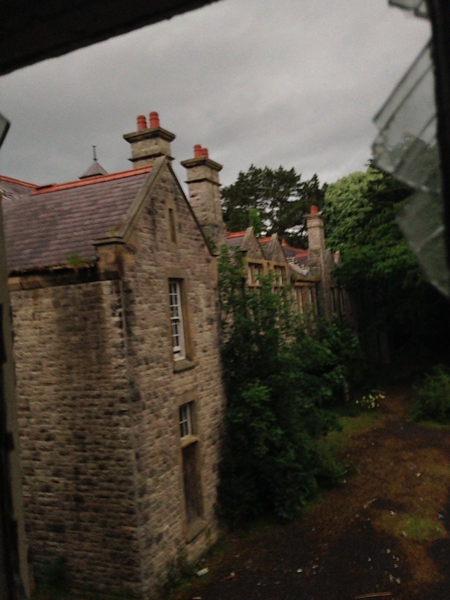 Gilberto Grape tweet media