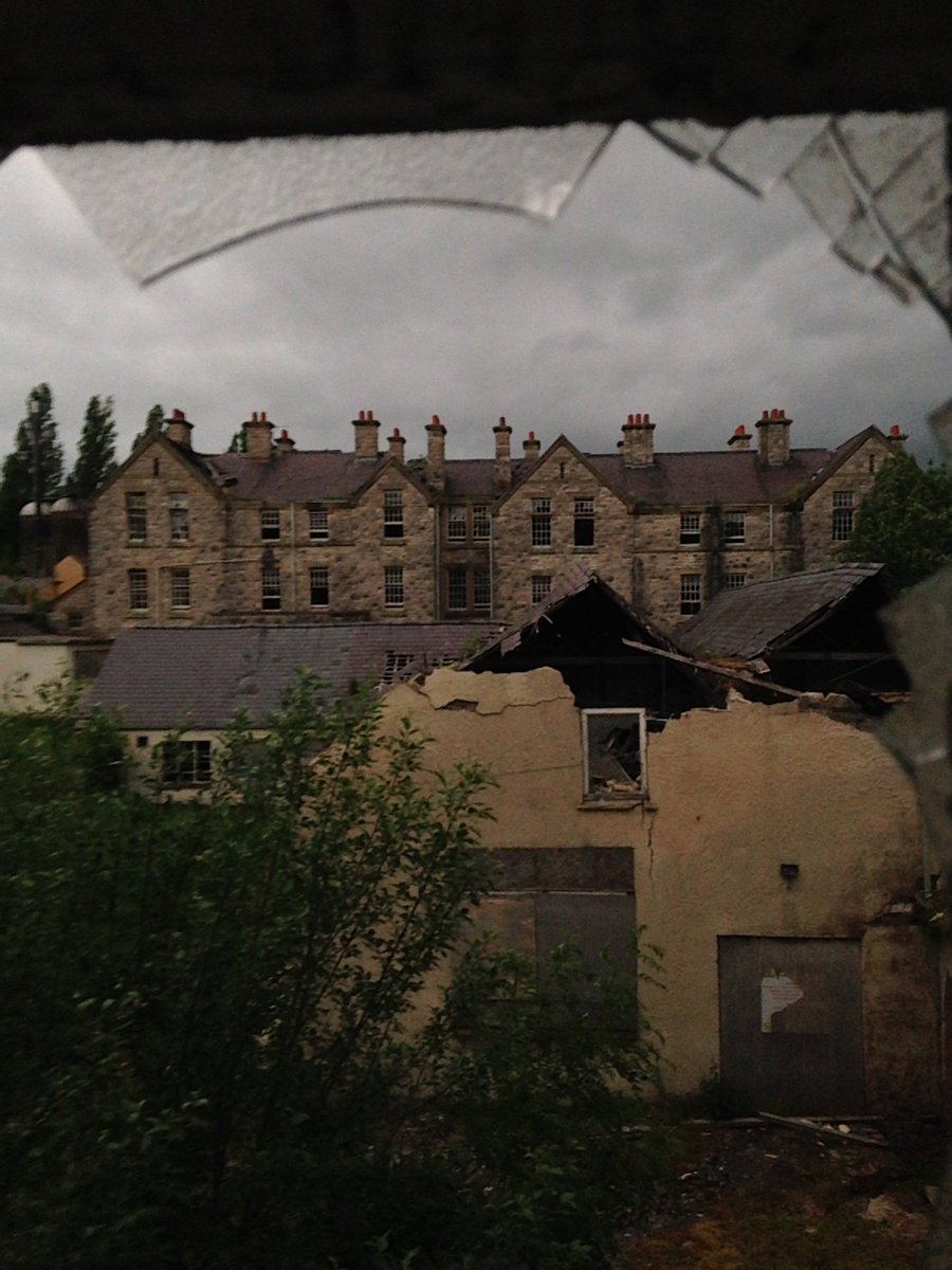 Gilberto Grape tweet media