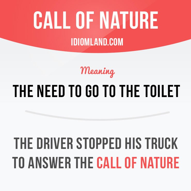 Idiom Land på Twitter: ""Call of is the need to go to the toilet. Example: The driver stopped his truck to answer the call of nature. #idioms #english https://t.co/BVyNu6ZGgZ" / Twitter