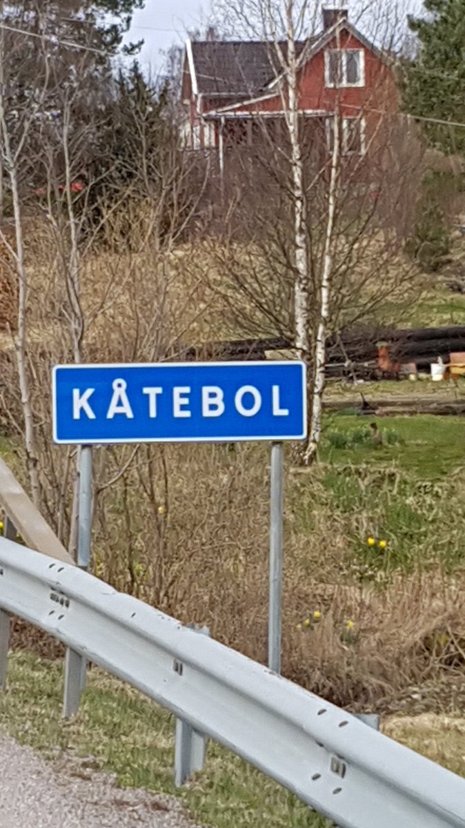 lillemyk's tweet photo. Sånn er det å være veps i Sverige. https://t.co/Ml9ZtriCIz