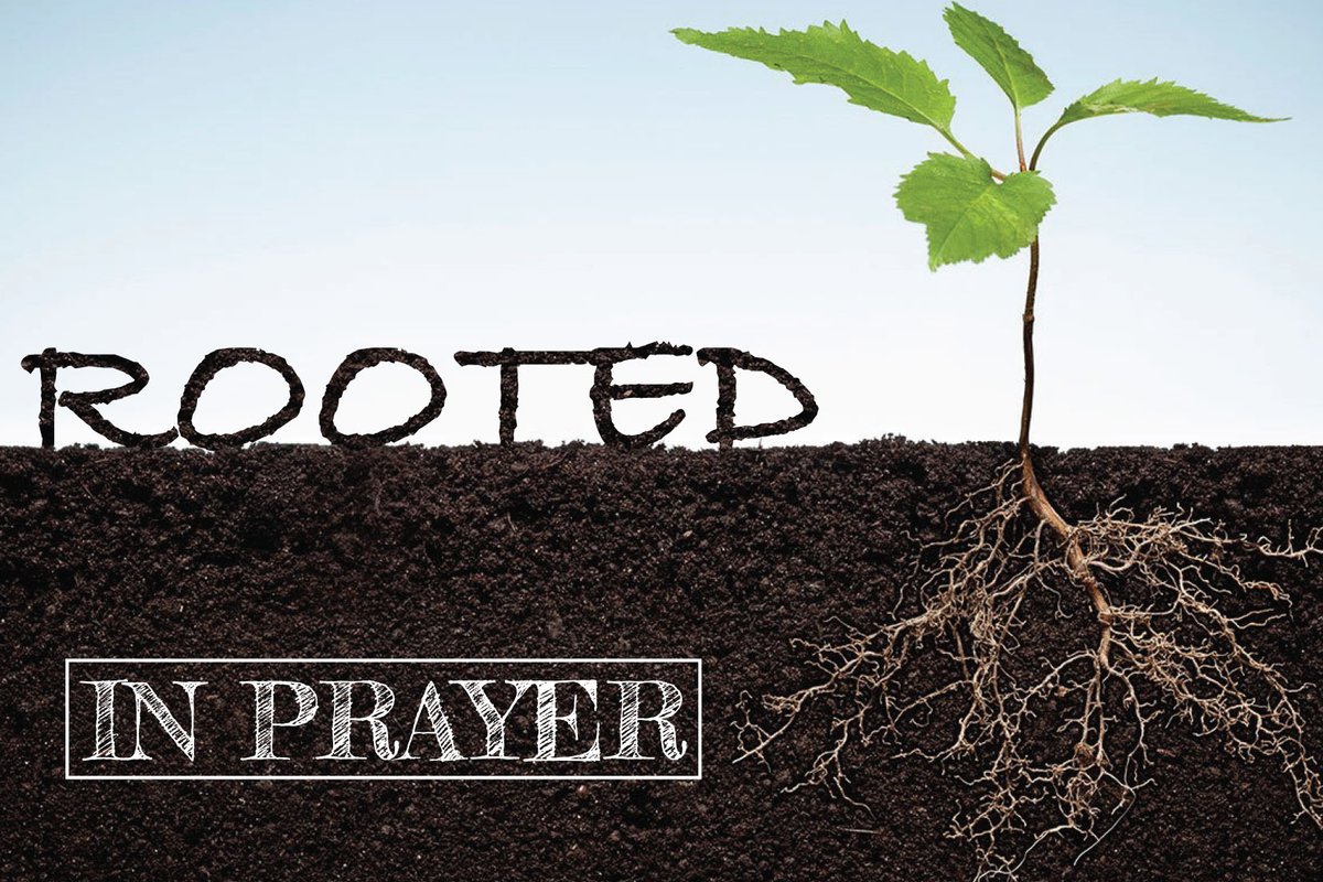 mccbury's tweet photo. Tomorrow we will be starting our new series #Rooted #InPray. Please plan to join us for 10am at the centre in #Bury https://t.co/mNLGhTSAFE