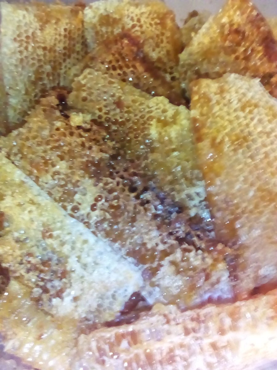 BermulaCreative's tweet photo. Ada yg minat madu asli dan gula aren asli?
Wa/sms/tlp 0853 1111 4912 https://t.co/zNsOuebf7I