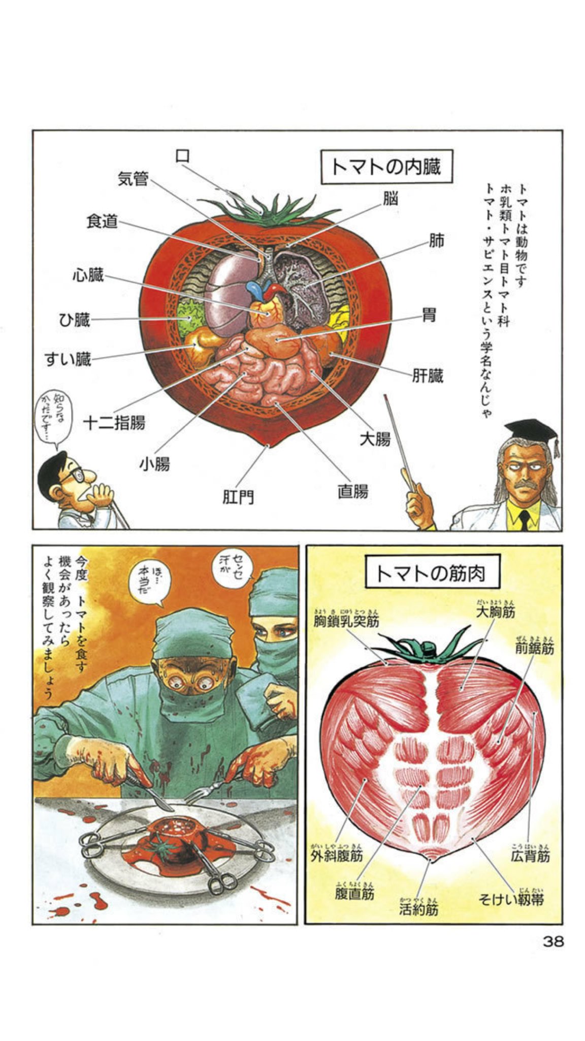 中野 岸和田博士の科学的愛情 １ T Co Iubglbfr5z 個人的には弐瓶勉作品無料より 岸和田博士期間限定無料の方が事件なんだけどな トマトは動物です のこの画像が有名なのではないだろうか 必読だぞ T Co Esdja2wnxq Twitter
