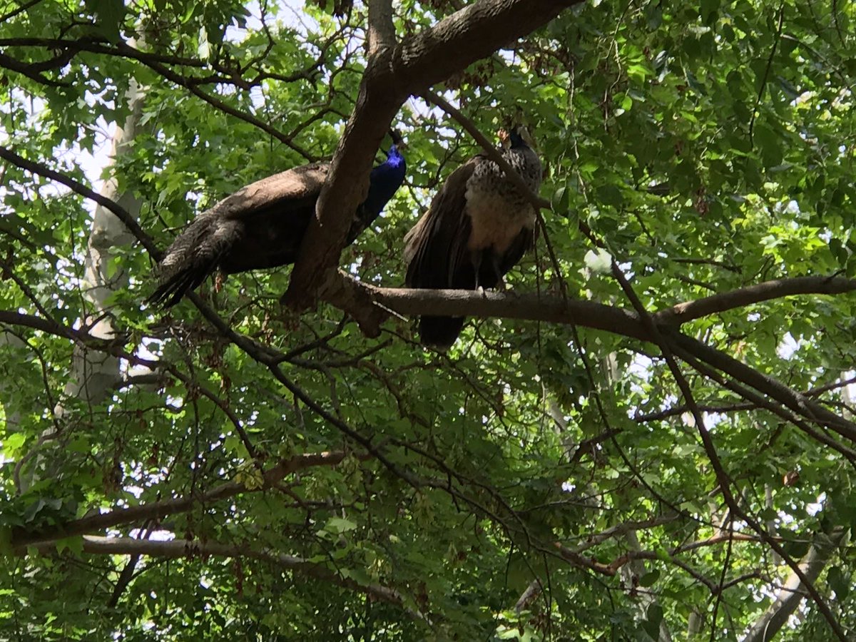 anpecrika's tweet image. 