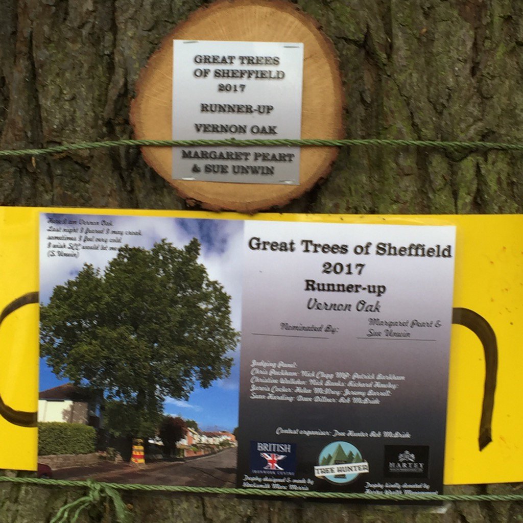 SAVEDORETREES's tweet photo. #gtos17 thanks for my certificate and trophy. Like to thank everyone who's avoided cutting me down over past 150 yrs. https://t.co/d45w0UZhuD