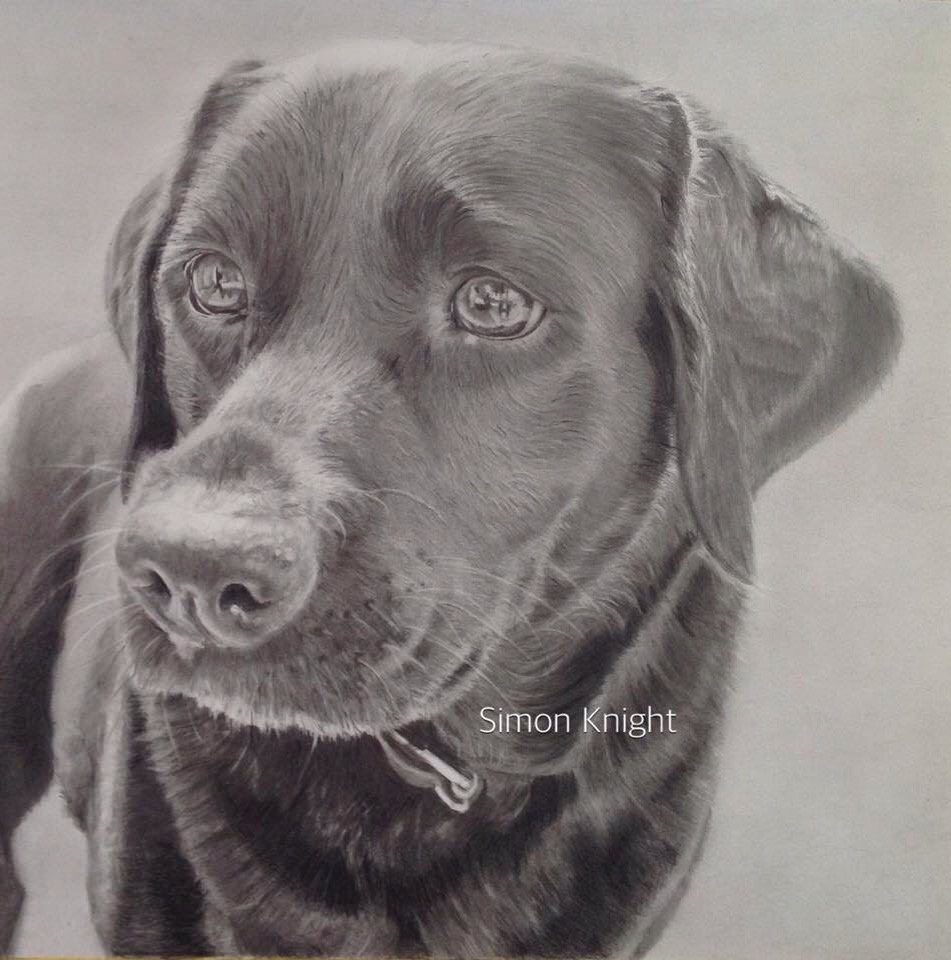 Come &amp; see the talented <a href="/siknightart/">Simon Knight</a> drawing <a href="/CornwallArtFair/">Cornwall Art Fair</a>... an amazing artist. #cornwall #artist #pencilart