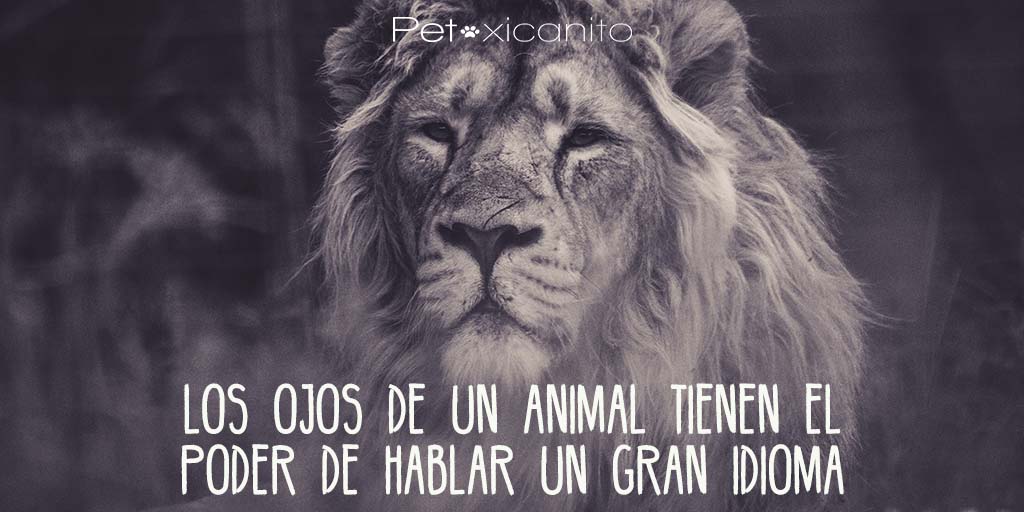 petxicanito's tweet photo. Valoremos lo que la naturaleza nos da #quotesforlife https://t.co/hpk37WwWVS