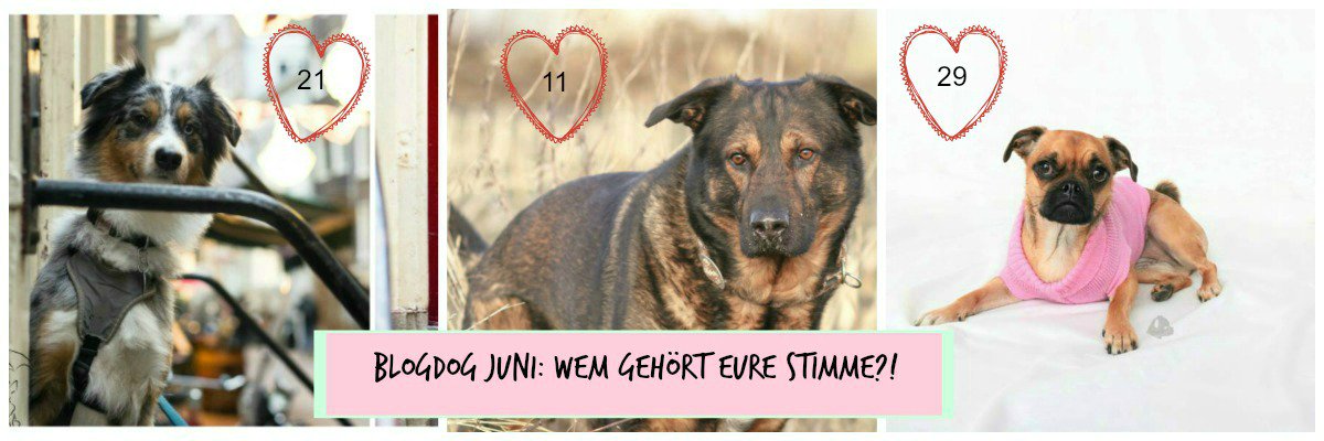 Schon gevotet? Dann mal los! @Retromops_Welt fiffibene.de #BlogDog