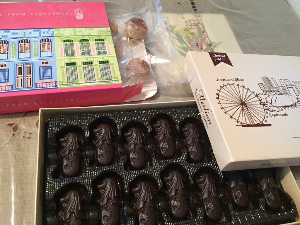 かほすけ Nead シンガポールのお土産げっちゅ マーライオンのチョコ美味しい このアイラブシンガポールって書いた ｔシャツをお母さんと弟と着るって考えたらシュールでジワる T Co Wwbdctx2ul Twitter