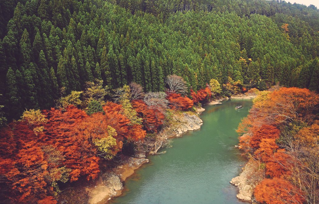 bug_river's tweet image. Well, let's go back to work on Monday morning! But today I'm going to retire with a book. Hidden by the Leaves #Hagakure