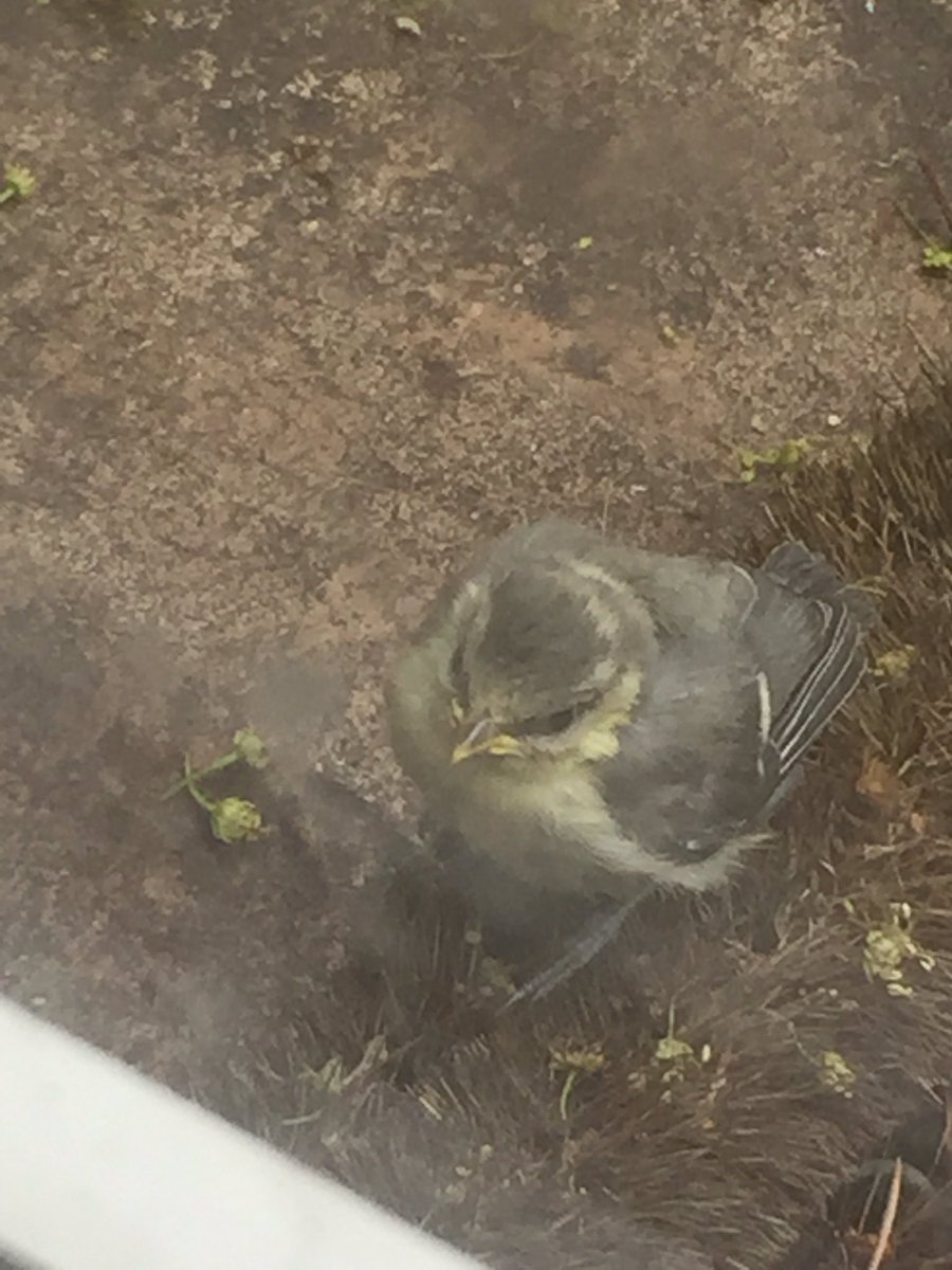 Hi all, thanks for all the mentions, RTs etc, I'm preoccupied with moving, so I will be back as soon as I can, good day all! A pic I took ❤️