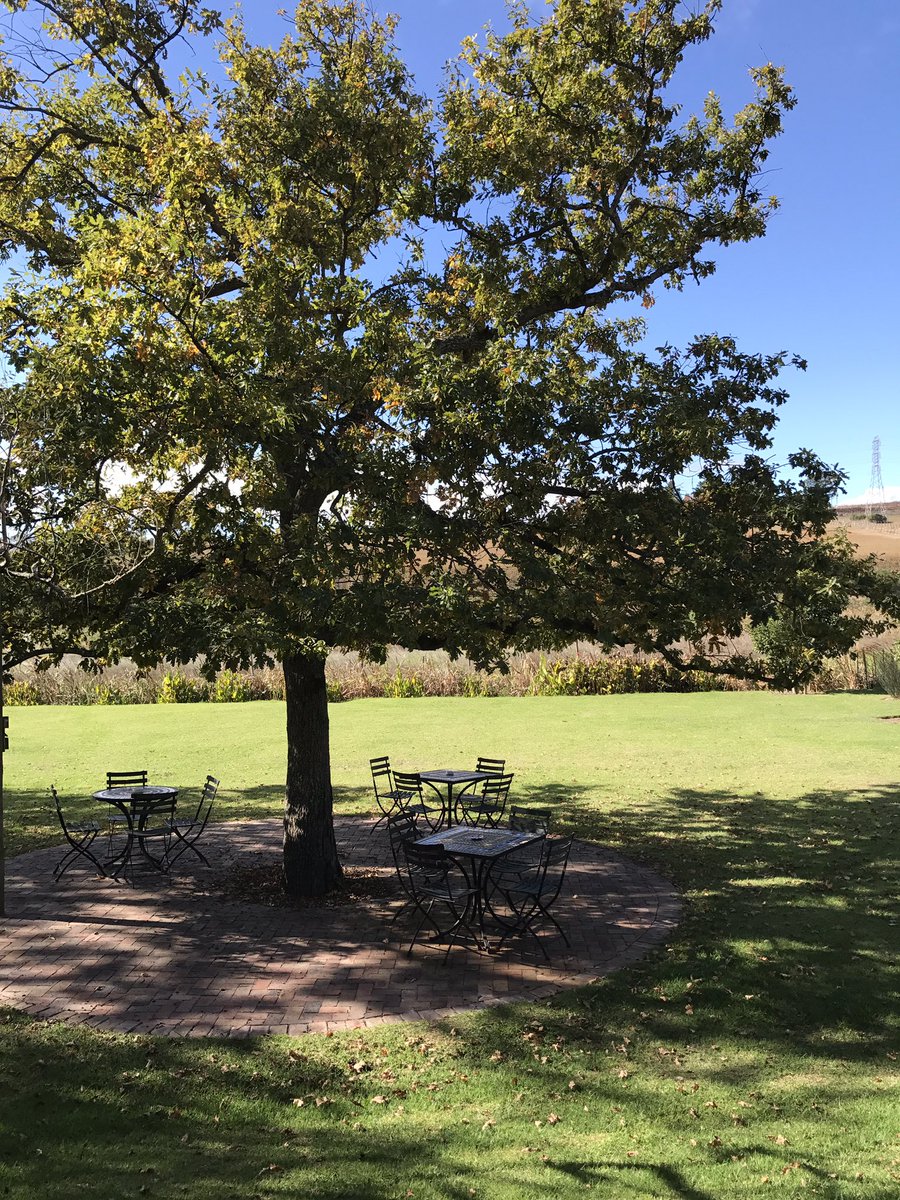lusciousCT's tweet photo. A perfect day for it: alfresco lunch @HartenbergWine with George Jardine in the kitchen! Plus some fine, fine wine 🍷 https://t.co/QSCTtYsUnJ