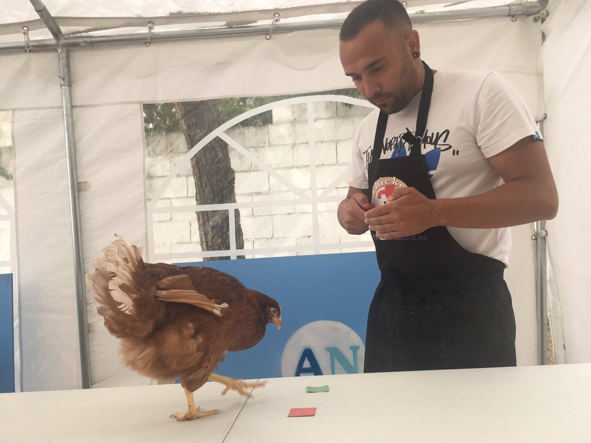 Chickencamp: las fundamentos del entrenamiento moderno. #formaciondeprofesionales #psicodogs