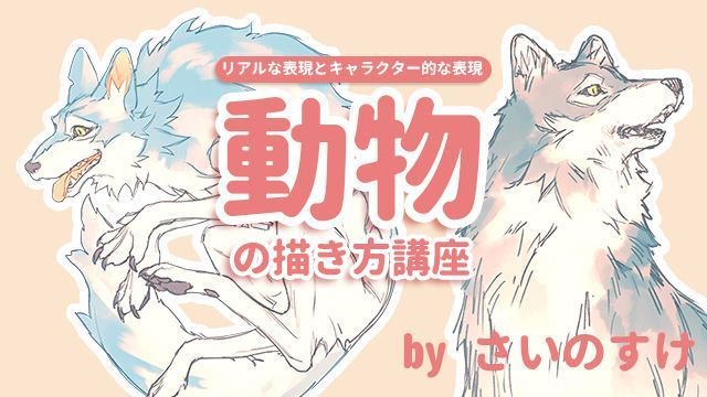 お絵かき講座パルミー 定期添削受付中 בטוויטר 動物の描き方についてリアルな表現とキャラクター的な表現の両方を解説していきます 狼やニワトリなど動物イラストにチャレンジしてみましょう 動物の描き方講座 リアルな表現とキャラクター的な表現 T Co お絵かき講座パルミー 定期添削受付中 בטוויטר 動物の描き方についてリアルな表現とキャラクター的な表現の両方を解説していきます 狼やニワトリなど動物イラストにチャレンジしてみましょう 動物の描き方講座 リアルな表現とキャラクター的な表現 T Co