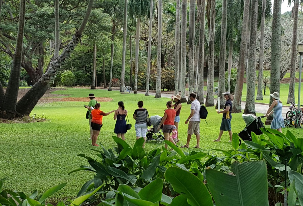 WalkDarwin's tweet photo. At George Brown Darwin Botanic Gardens Open Day today, we gave free walking tours of the Gardens. #GBDBG #DarwinNT #explorewithalocal https://t.co/NQaImGLEtB