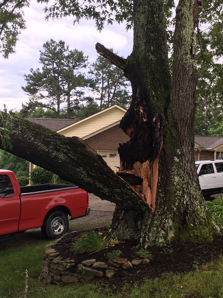 DebbieDjackson's tweet photo. Woke up Major tree damage due to high winds East Strawberry Plains Pk Exit area. 100 yr old Oak Trees down, power outage.    @wateweather https://t.co/m6pfbwu47Z