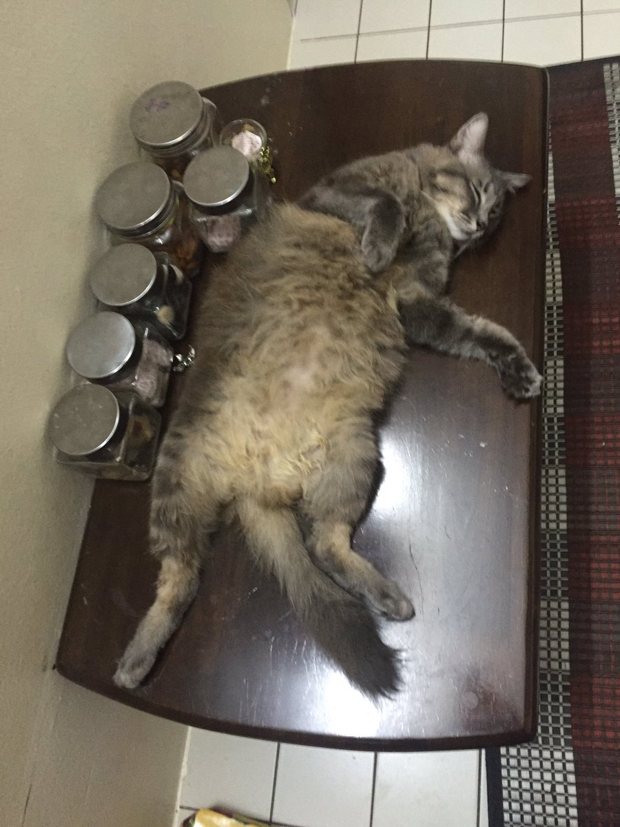 Lepas buka posa be like...