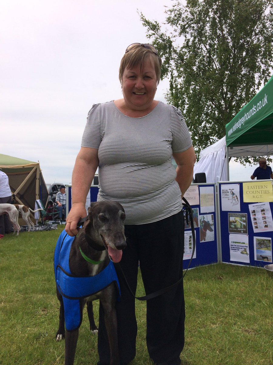 greyhoundtrust's tweet image. First of 4 homed dogs from the #extravaganza today is Perry who has adopted Lynda Caitlin! #homedhound