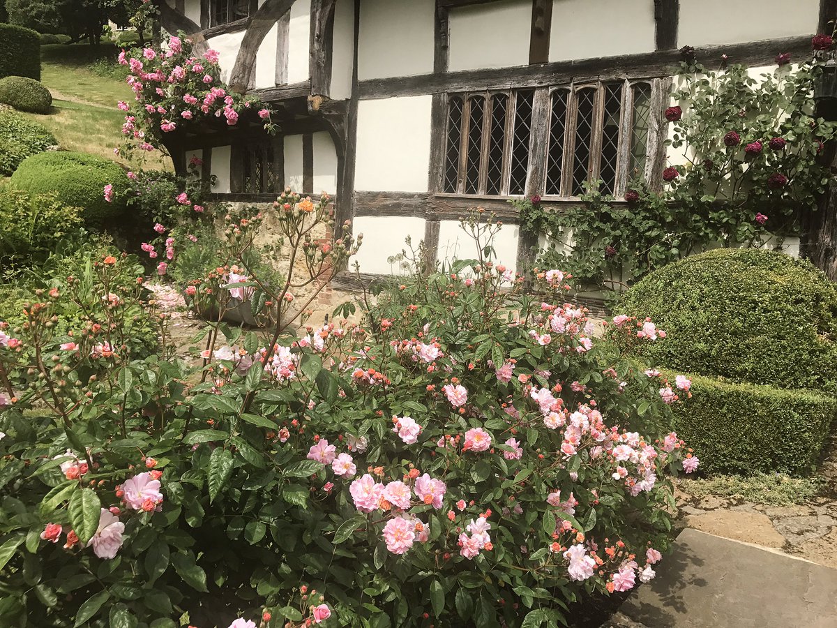 Kelly Brook On Twitter My Cottage Garden Blooming With Roses Today