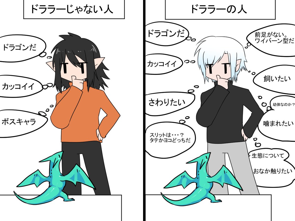オルカ Fenrir ドララーとそうでない人の思考の違い オルカ Fenrir ドララーとそうでない人の思考の違い