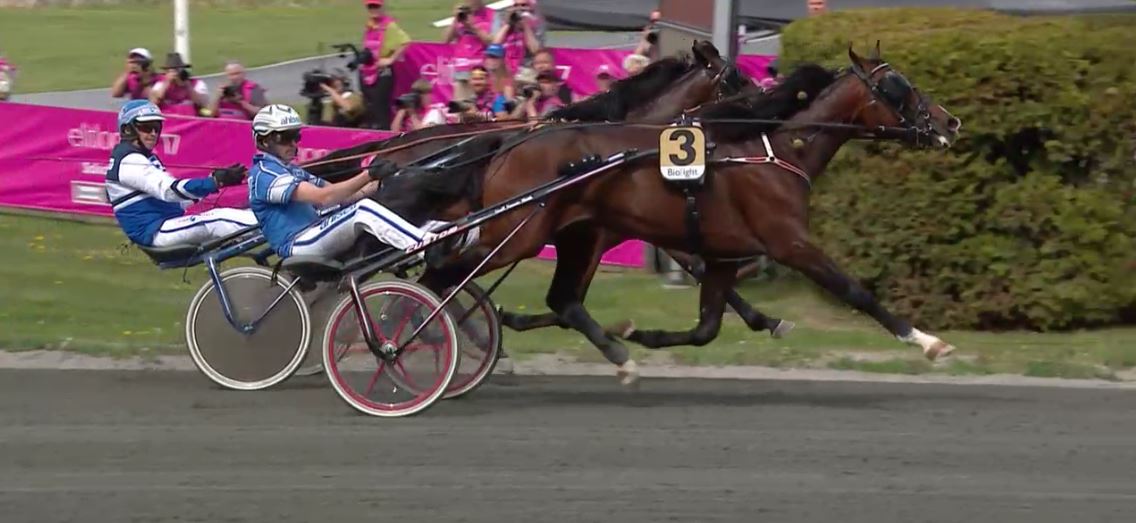 Joe_Zagari's tweet photo. #GlobalUnPoco 🇸🇪 @stallbath won Menhammars Elitloppshingstars Pris in @Solvalla with @ErikAdielsson 1.11.5 on 1640 - #Elitloppet17 🇸🇪 https://t.co/32NKe2gTnH