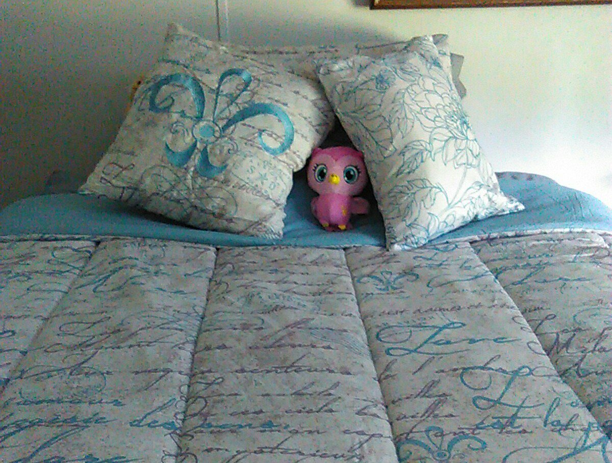 MandyandMedia's tweet photo. Ms. Owl is loving our new bedding! #parisiandecor #bedding #owls https://t.co/duGU6tYwkn