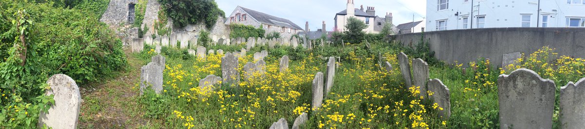 DEREKFROOD's tweet photo. #CemeteryAudioTour #Ripple So far the rain has been kept at bay. Our final day open day is Sunday 4th June. Don't miss it! @plymhistoryfest https://t.co/taK2RZAaNe