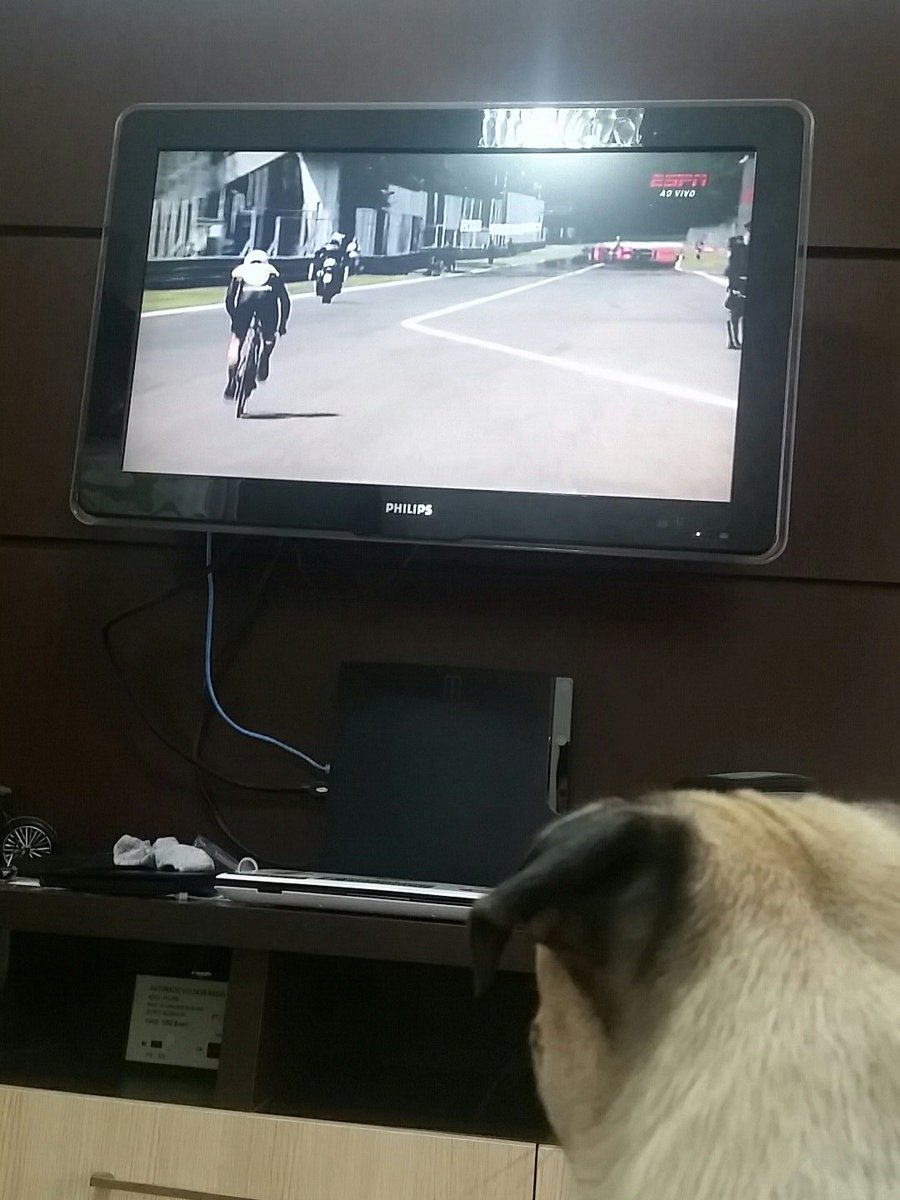 jstdumbo's tweet image. #gironaespn 1 coroa nas bikes de contra relógio. .. 
Tendência mundial que não se cria ....