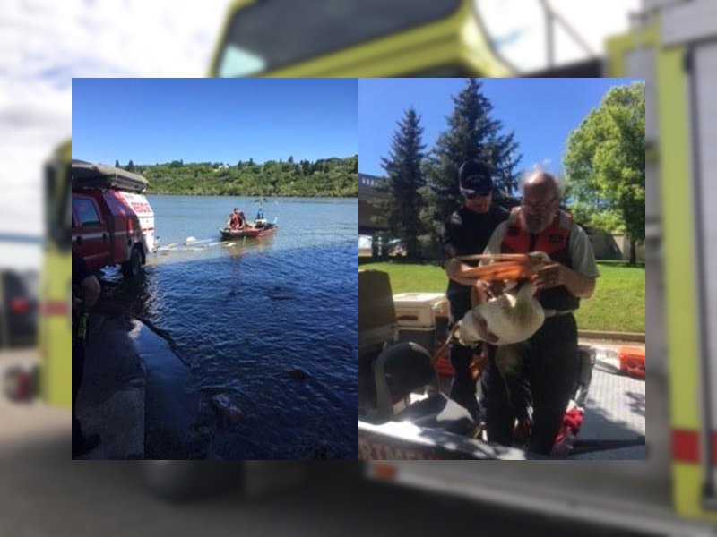 Crews Rescue Injured Pelican in Saskatoon Waters dlvr.it/PG6xHn https://t.co/YbIrQRhwZu