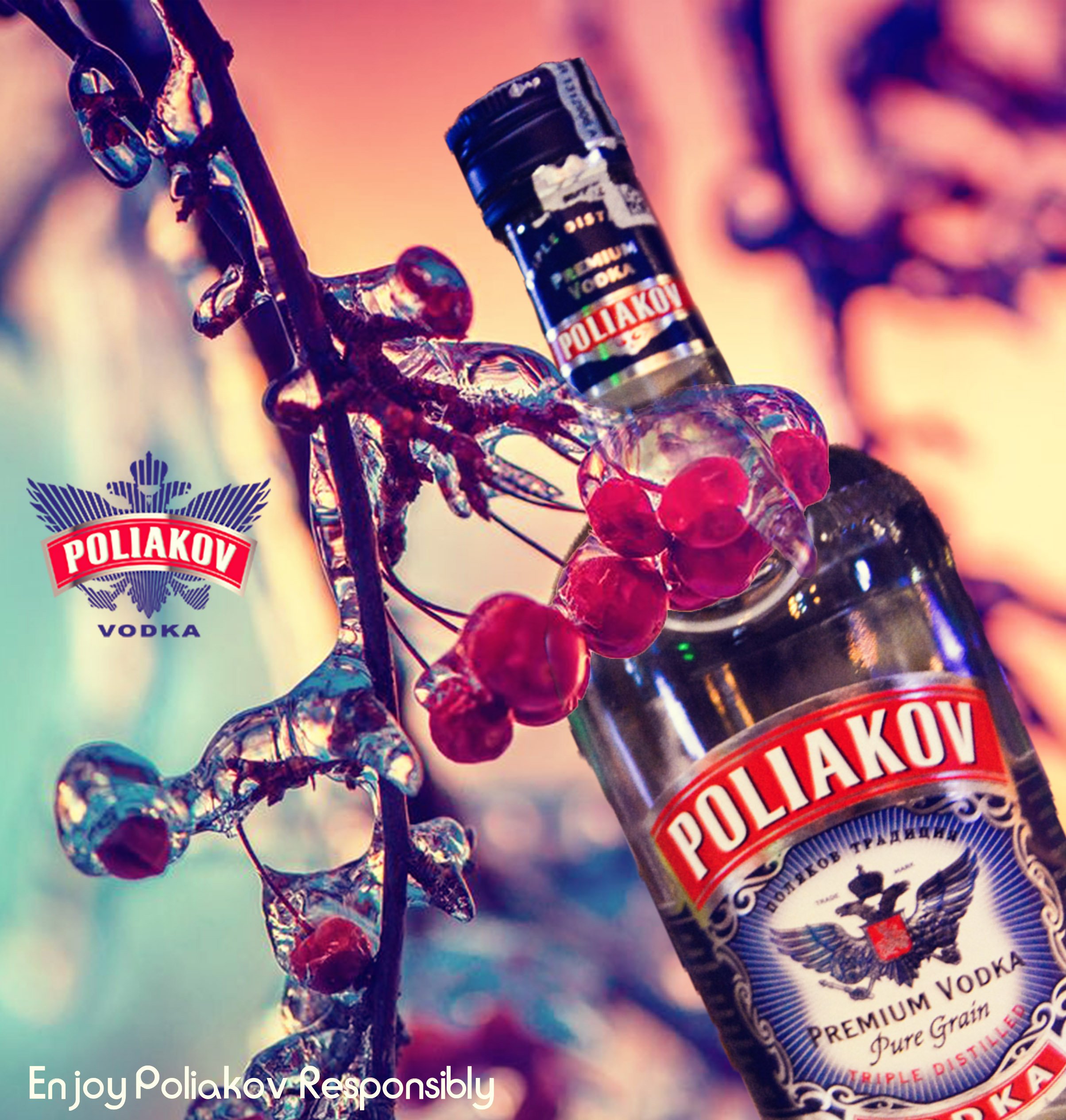 Where to buy Poliakov Premium Vodka, France