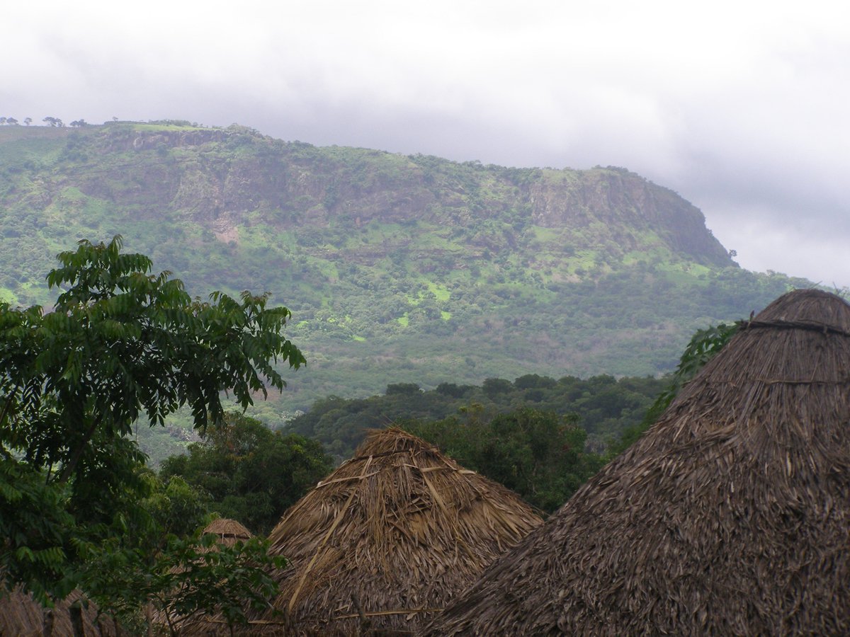 SKPguy's tweet photo. #wiwt #Kansema in #Guinea - a fantastic example of #SustainableAgriculture that #conserves #wildlife https://t.co/LKj6mF1vcB https://t.co/mrFCn7AO1i