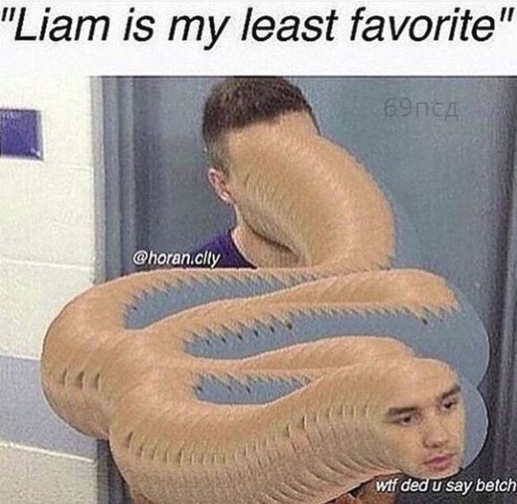 loovee_niall's tweet photo. Кто-то: Лиам не мой любимчик.
Я: че ты сказала сучара?
#MTVAwardStar One Direction https://t.co/rOsW22Un4E