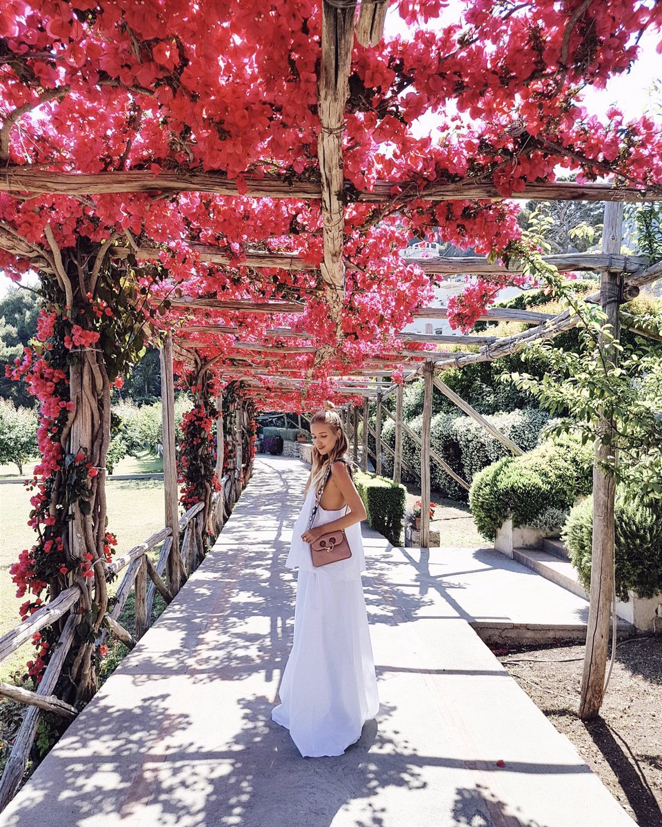 Capri in full bloom is one of the most beautiful things I've ever seen... 🌺🌺🌺