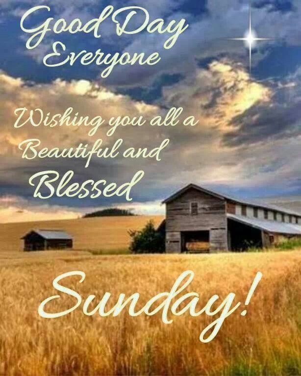 justclosedotcom's tweet photo. Hey all!!! Happy Sunday!
#enjoy #Sunday #weekend #justclose https://t.co/IqKPs7GWko