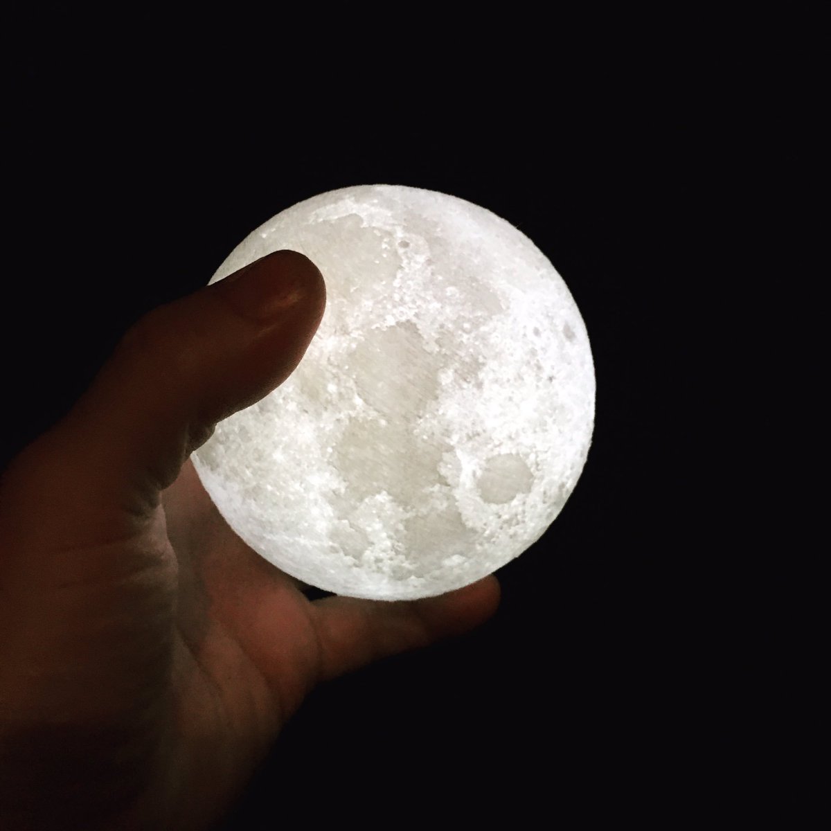 Caliman8's tweet photo. If you reach high enough....it's possible
#gotmoon #keeponpushingjustalittlebithardereveryday #moonboy https://t.co/uP3Oj2SI4l