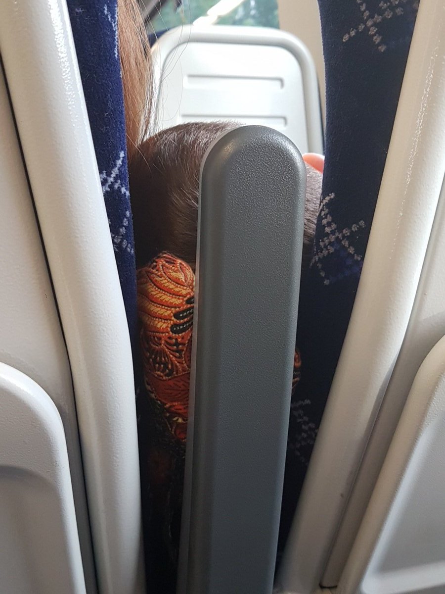 Four_T2's tweet photo. Dorothy won't let me punch the arm rest so it hits his napper. Bloody spoilsport. @maltingsyork https://t.co/fMBirDwg31