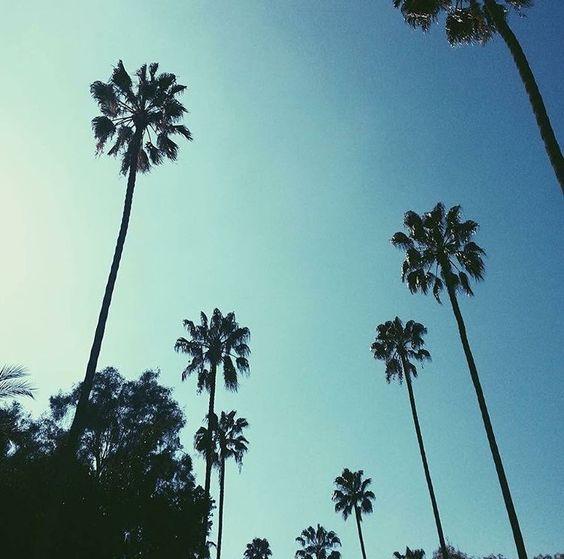 Missguided's tweet photo. Mood: wanna be on vacay 🌴🌴🌴 https://t.co/dYOH4BueWL