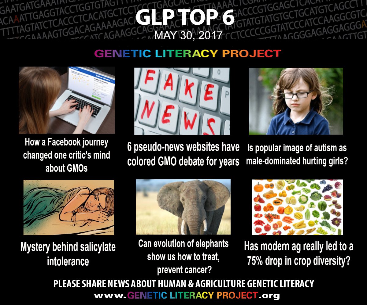 GeneticLiteracy's tweet photo. From this past week, here are the #GLPTop6 among many great stories on human and agricultural genetics: https://t.co/RvGNzWHP2P https://t.co/1slxSkazAl