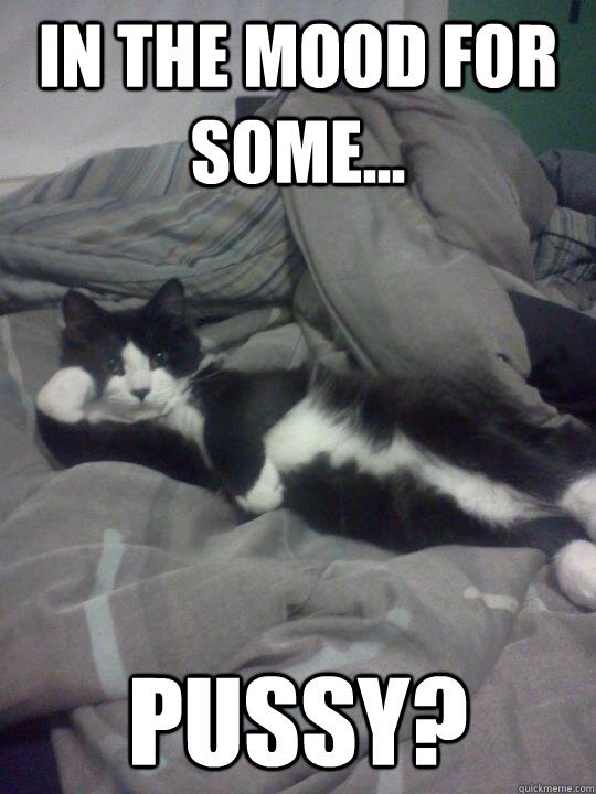 iskisur's tweet photo. #ískisur #hlaðvarp #seductivecat https://t.co/CaPMcXcLpd https://t.co/xXdo0dYcjy