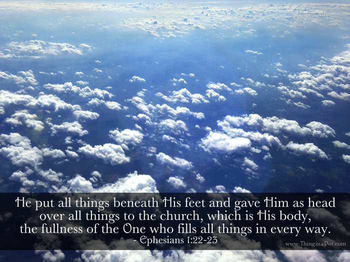 katie_lynn_rose's tweet photo. It's the #Ascension of the Lord - as He promised, He will come again! #SundayScripture #Scripture #Bible #PictureScripture https://t.co/8WUEfvDsaz