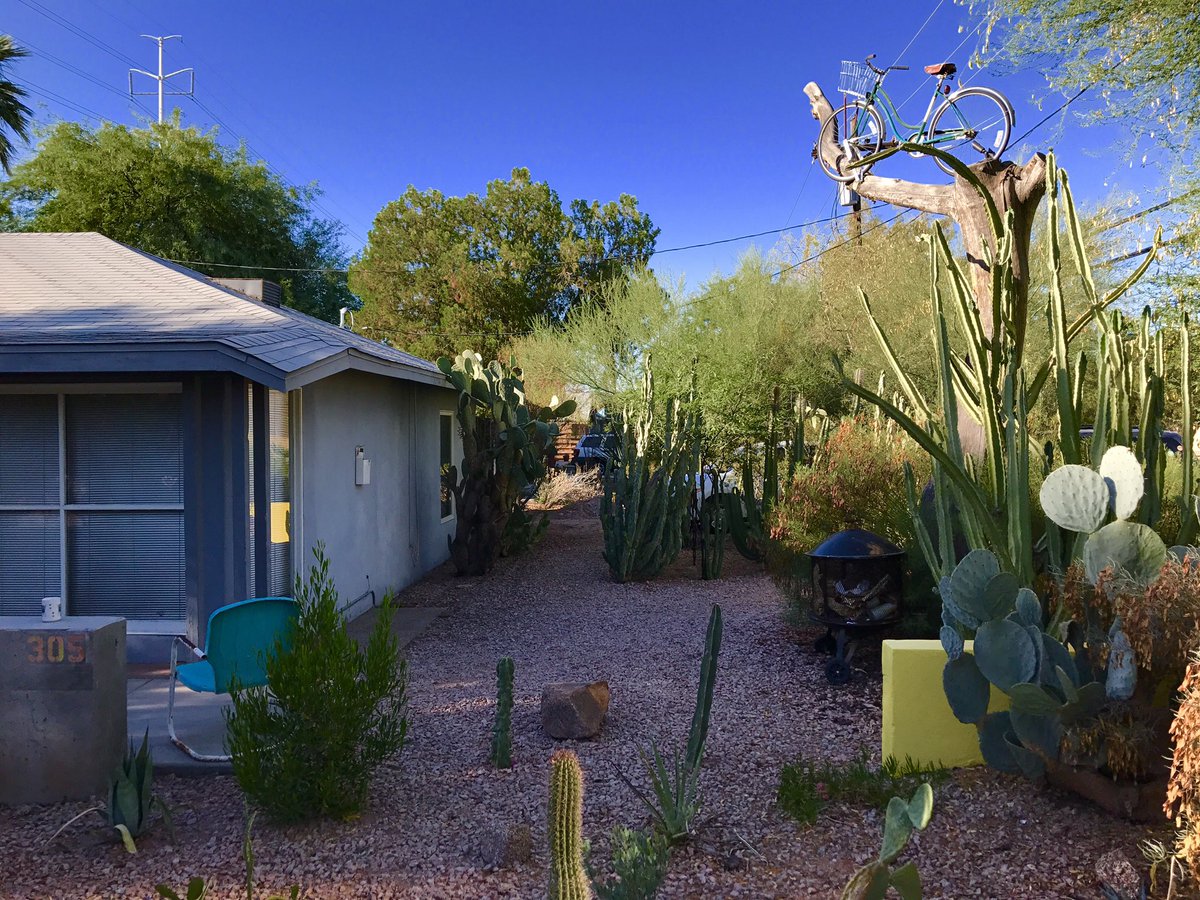 wayeric's tweet photo. Yard #Tempeasy #biketree https://t.co/oI0shhdRI1